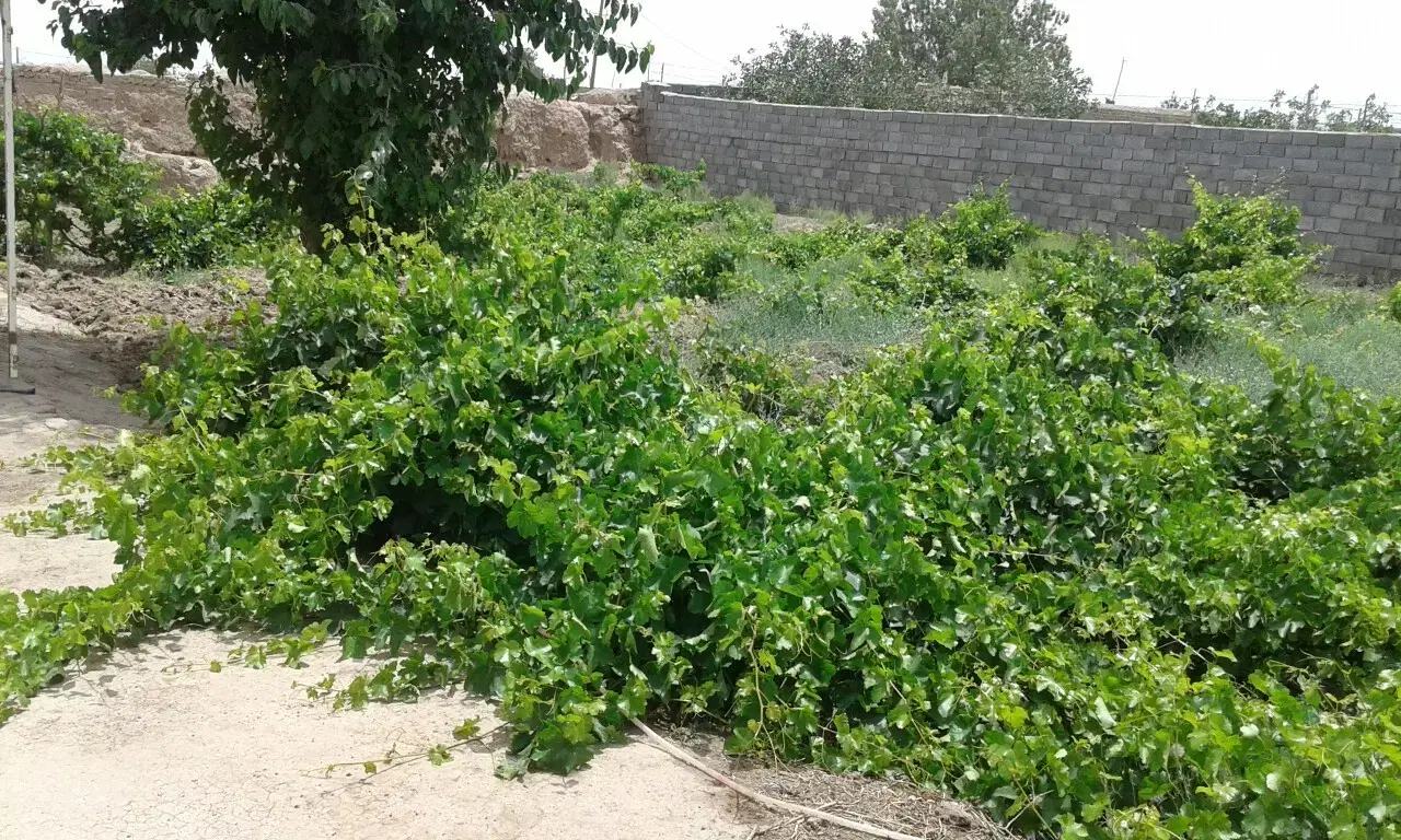 ۲۵۰۰ متر منزل مسکونی با آب برق گاز ۲_۵۰۰_۰۰۰ م