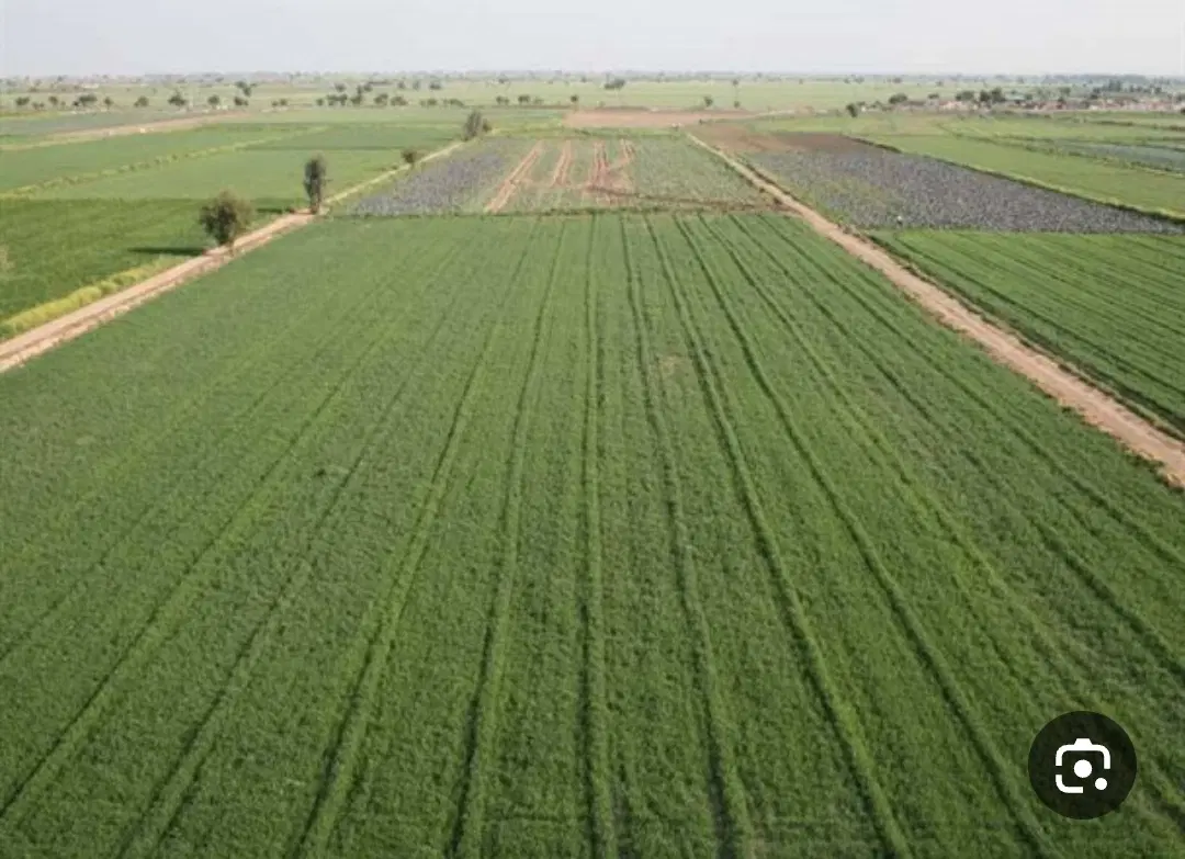 زمین جهت سرمایه گذاری