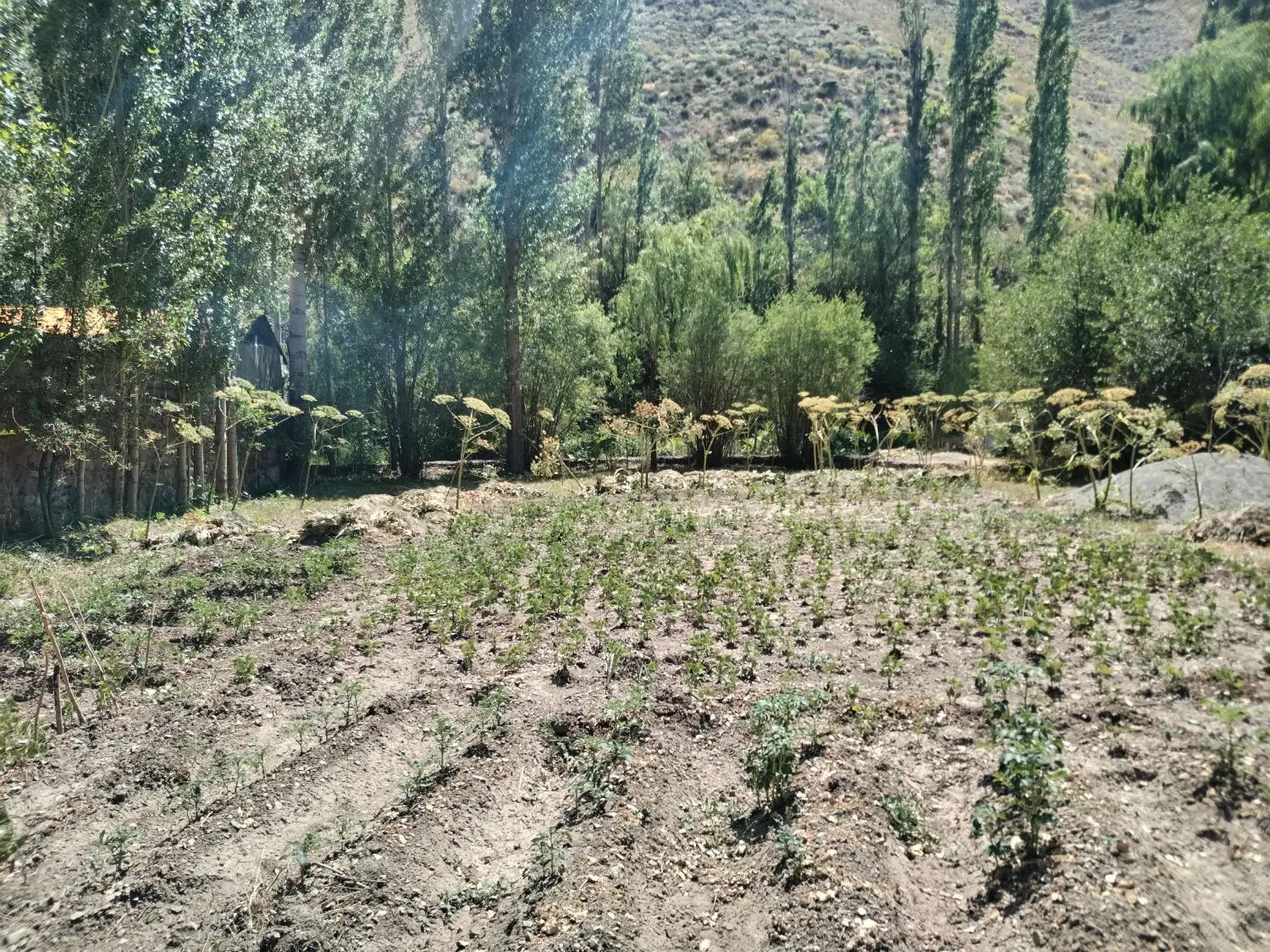فروش زمین بر خیابان اصلی جاده دیزین