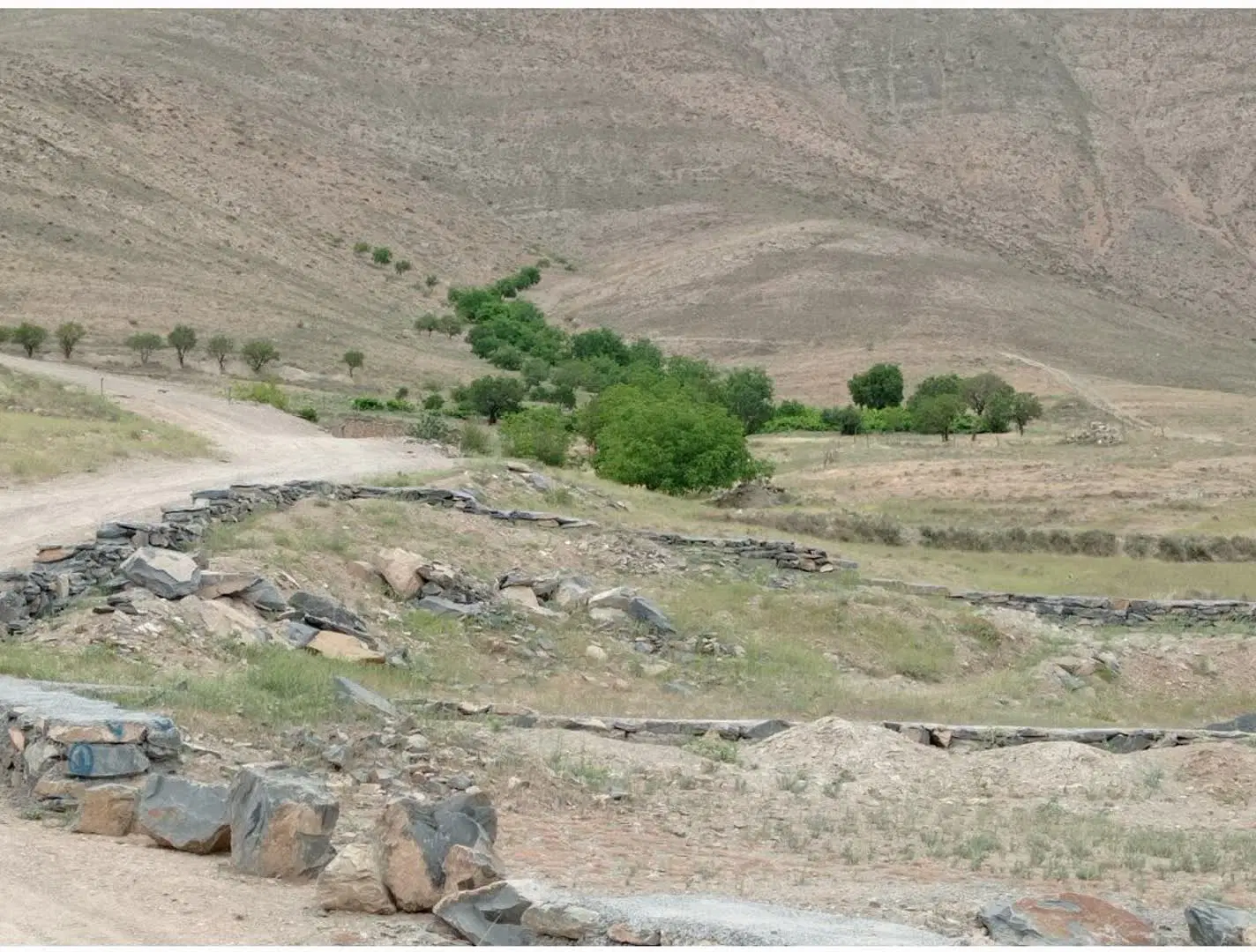 فروش زمین نظم آباد