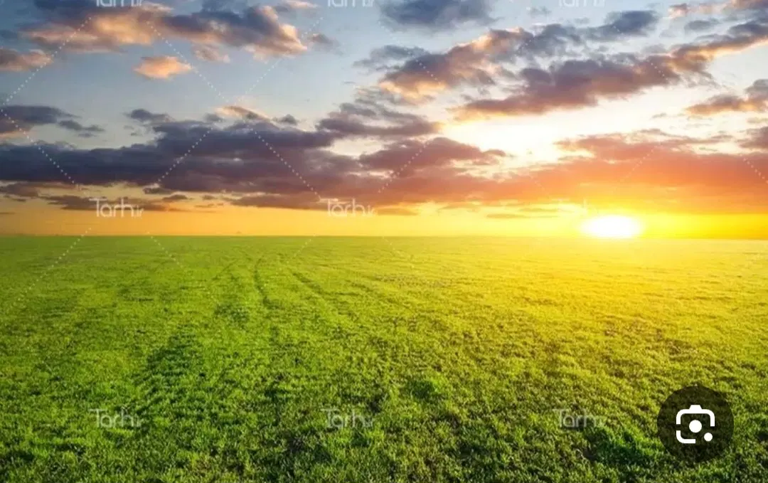 یک قطعه زمین دیم در قروق