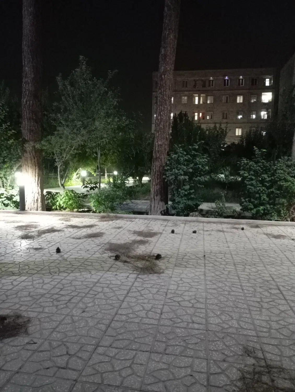 ۶۰ متر واقع در مخابرات