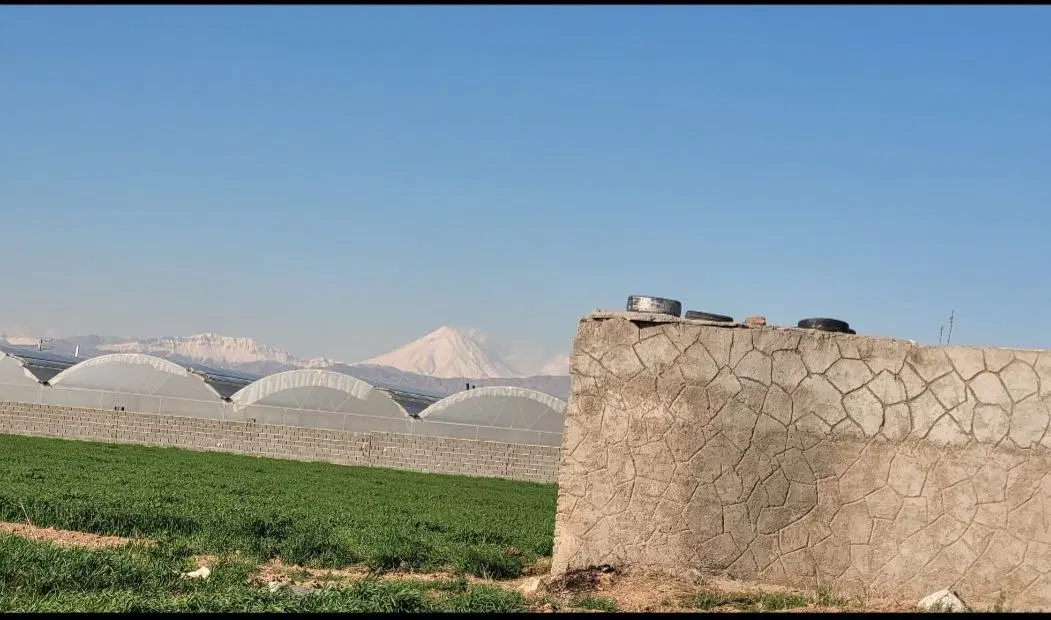 ۴ هکتار زمین کشاورزی فروش   کد  ۳۰۵