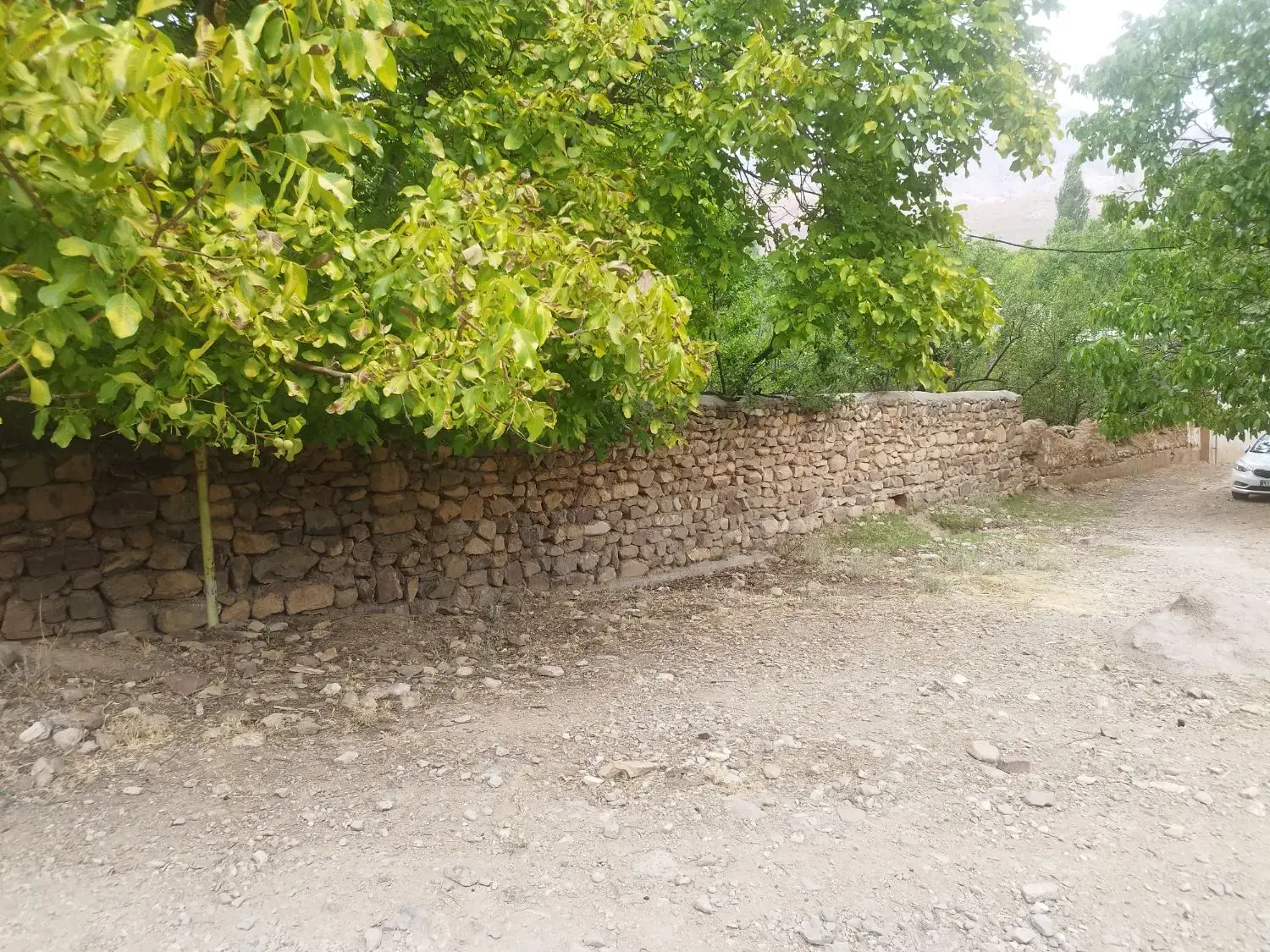 باغ