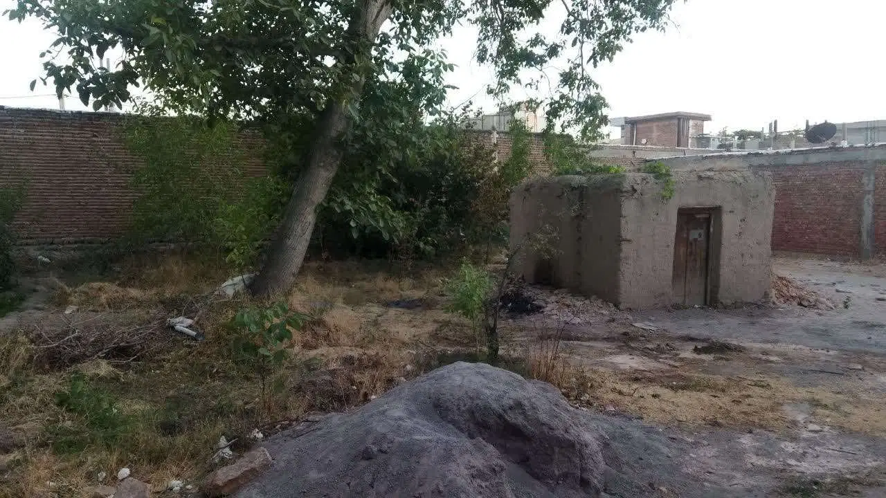 قطعه زمین در پازیکو