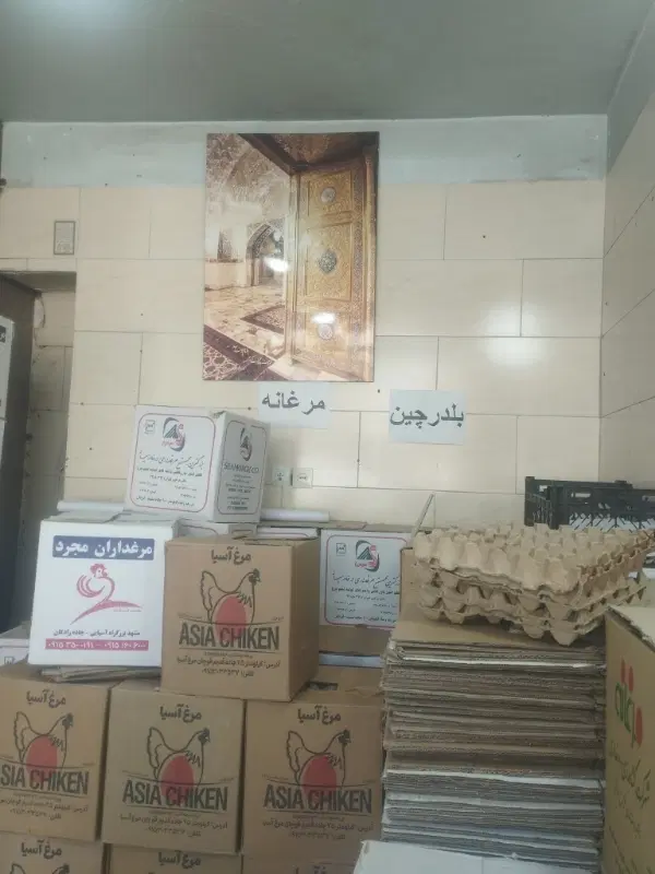 اجاره مغازه