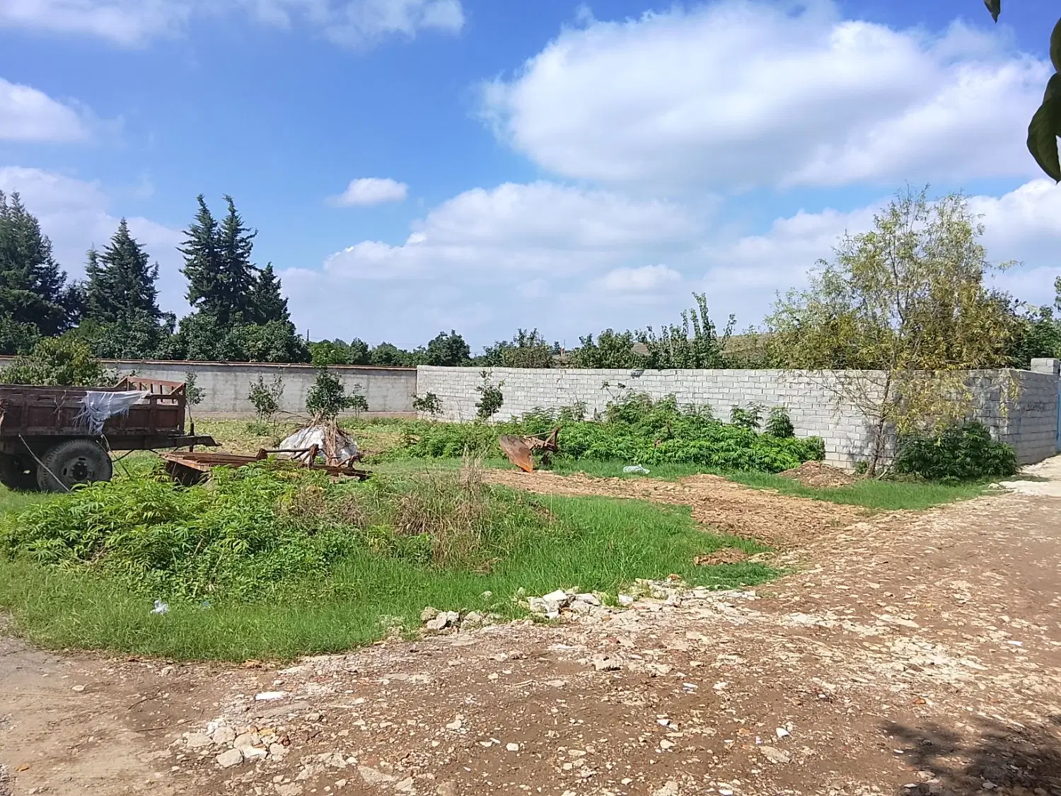 فروش زمین در قائمشهر روستای پرچیکلا