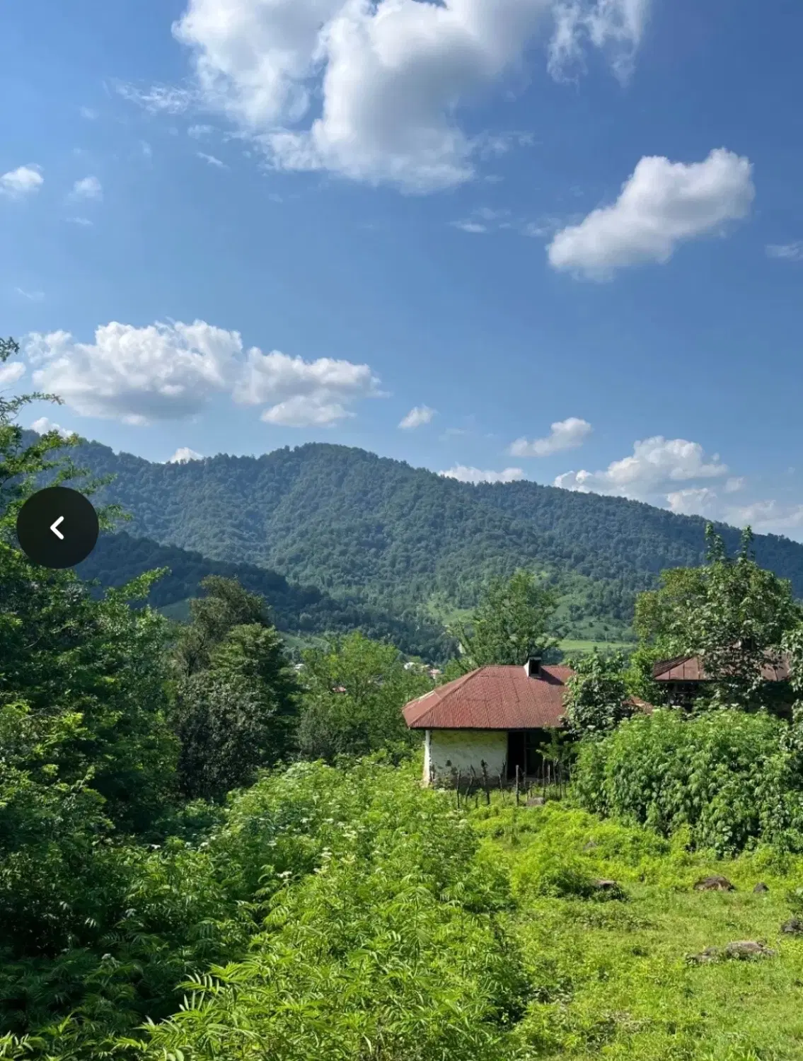 زمین و خانه  جنگلی  فروشی