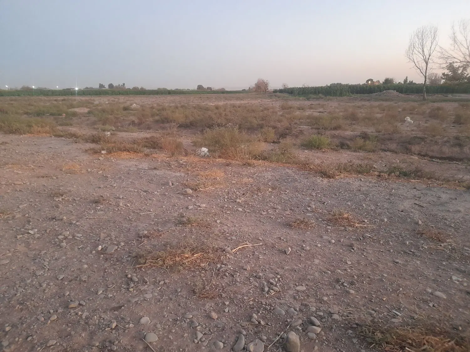 زمین بر جاده طارند