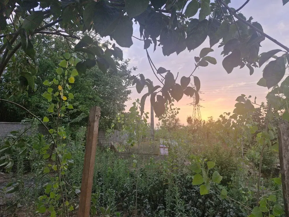 فروش زمین مسکونی درروستای سرسبز