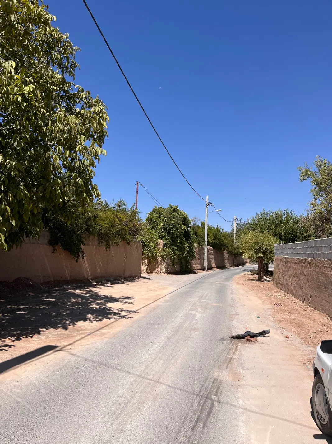 زمین مسکونی مهریز