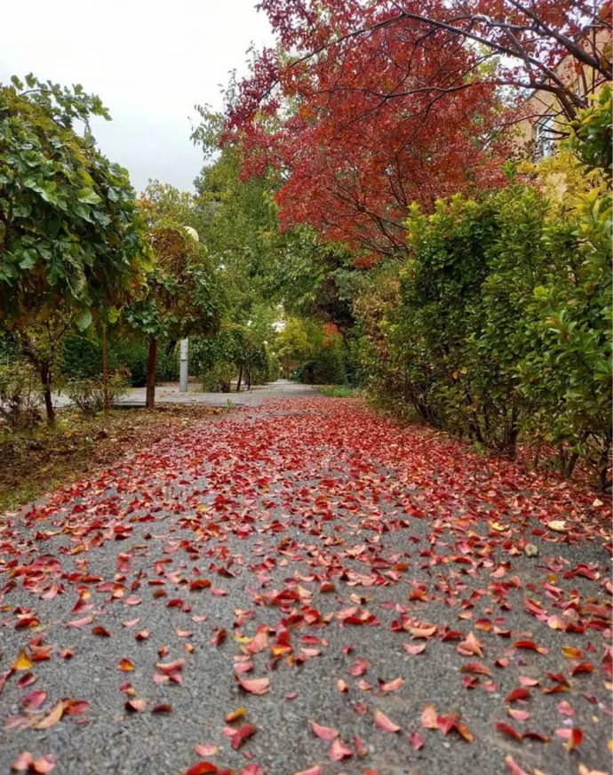 شهرک بهاران (سازمان آب)