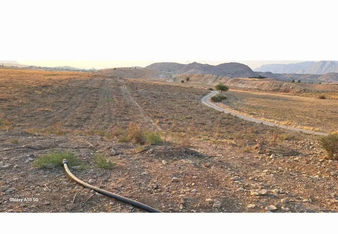 ۱۵۰۰ متر زمین باغی آبی_نزدیک به شهر_
