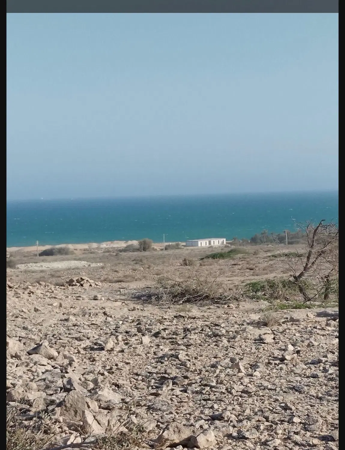 ویو دریا سوزا