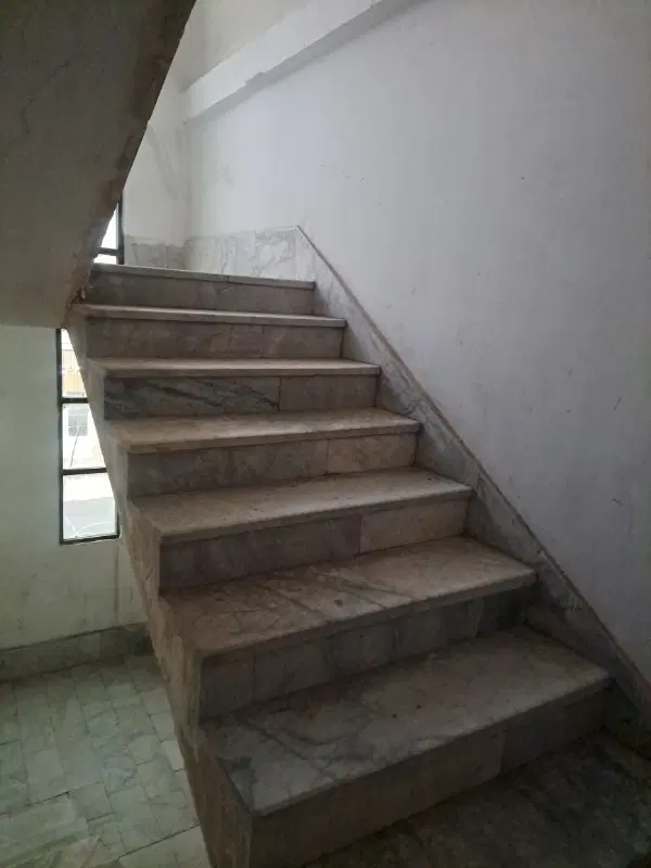 زمین