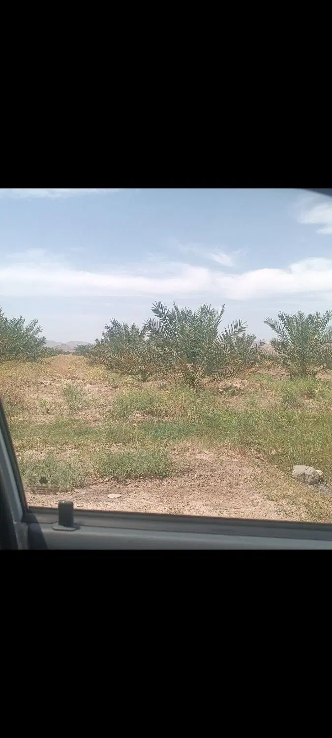 زمین کشاورزی