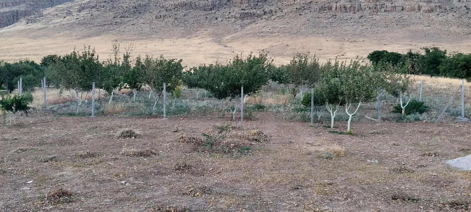 باغ سند دار ساختمان دار  روستای ریکا جاده روانسر
