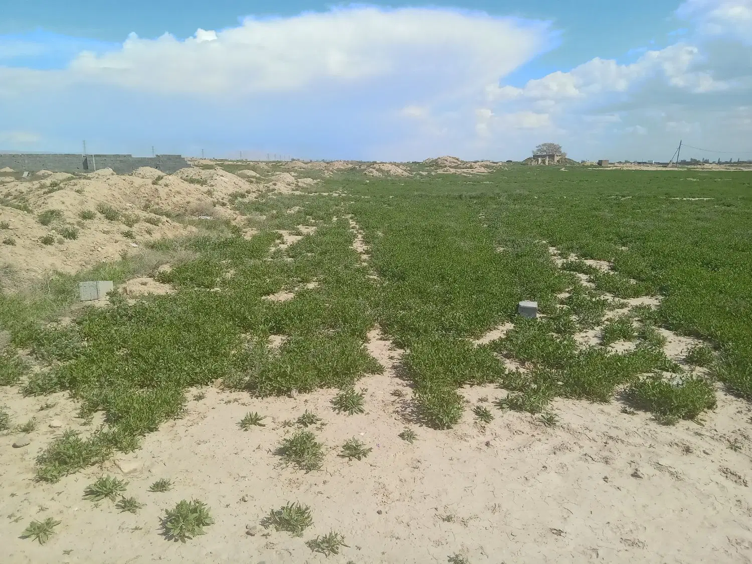 زمین مسکونی شاهنامه