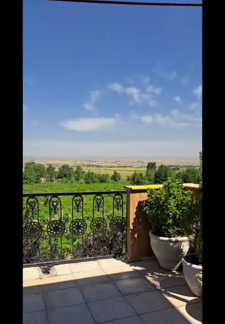 باغ و سوئیت