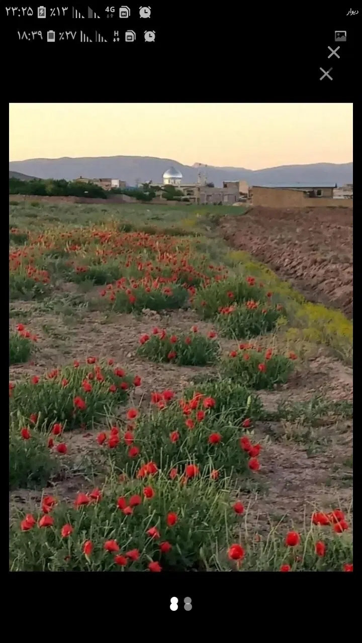 زمین کشاورزی ۴۰۰۰ متر چسبیده به بافت