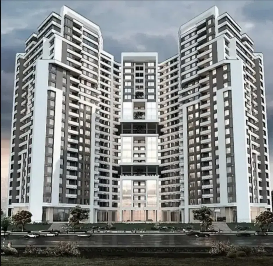 شمیم رحمت ۳ (نخل)