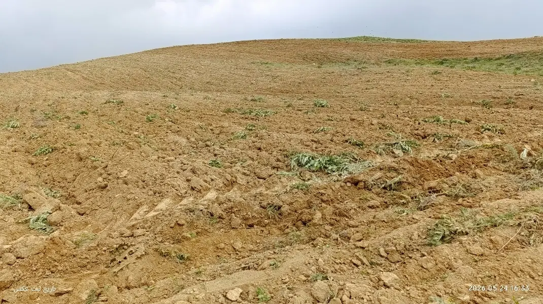 زمین کشاورزی