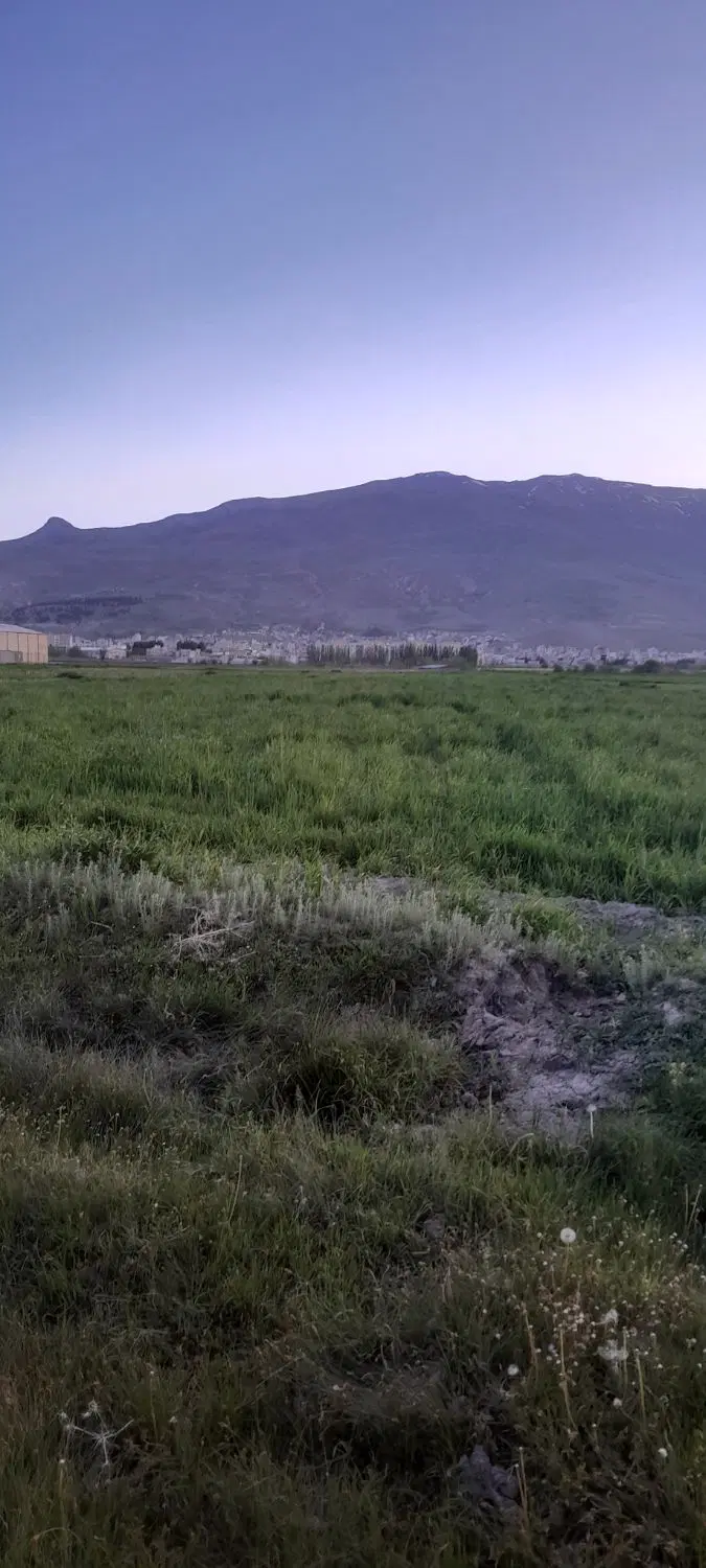 زمین کشاورزی روستای سیاهول