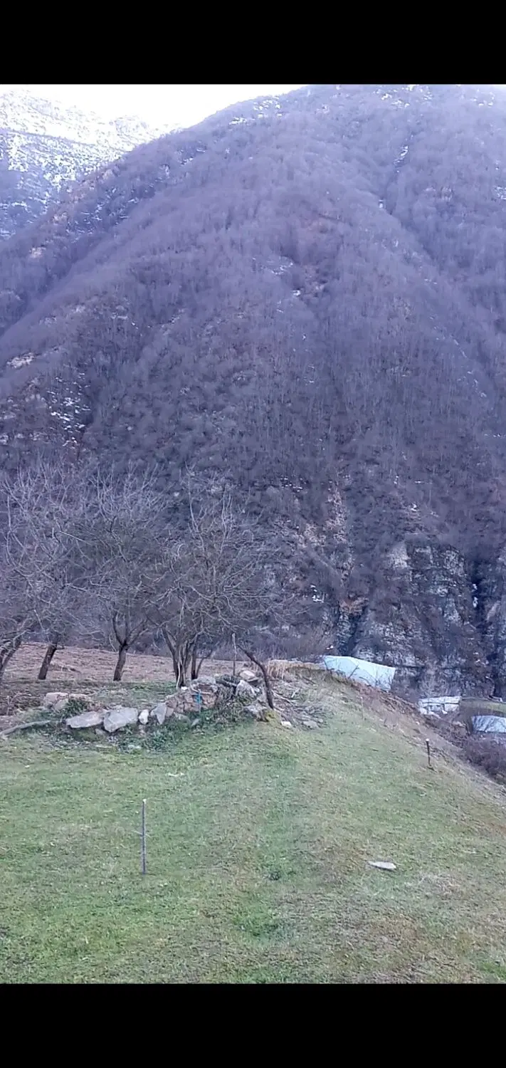 فروش زمین