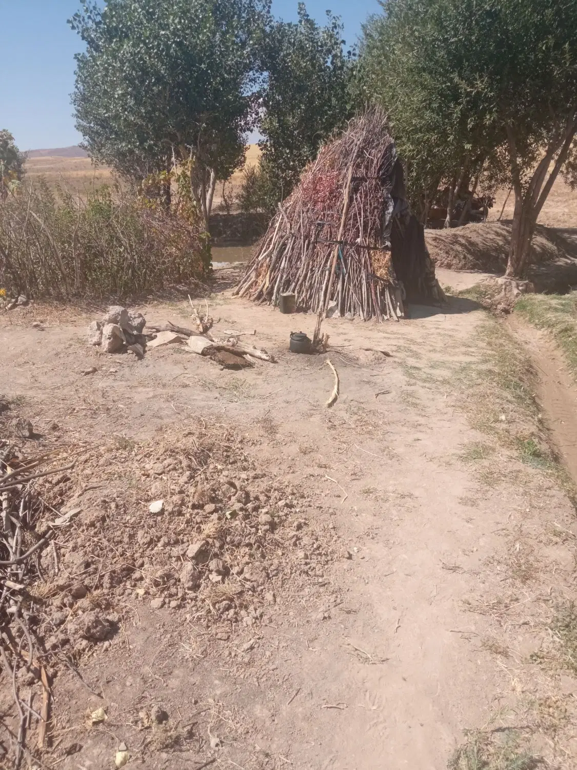 باغ