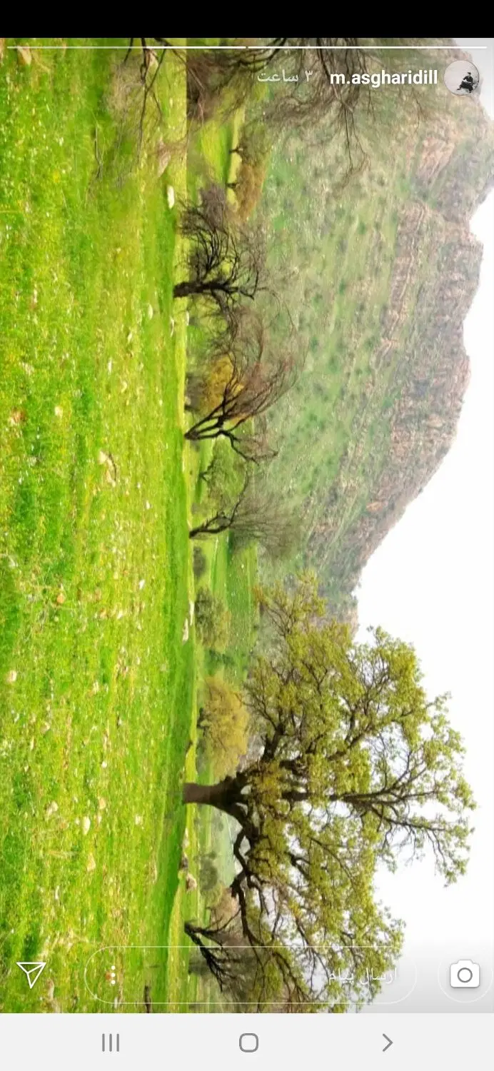 فروش ۱۰۰۰متر زمین سرابتاوه