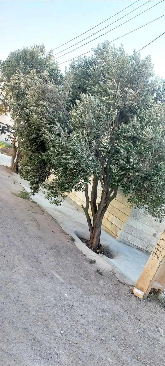 فروش خانه ویلایی