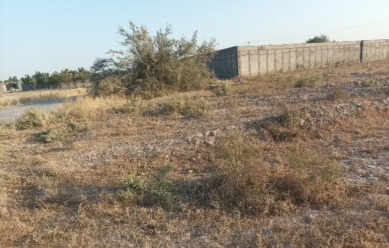 زمین کشاورزی ، ۲۵ کیلومتری مشهد