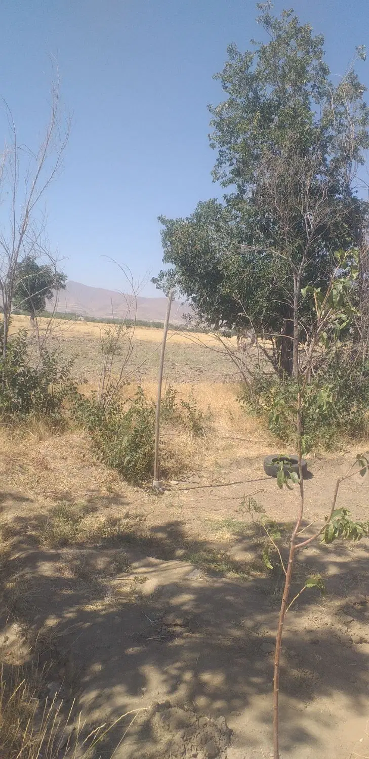 باغ سیمین