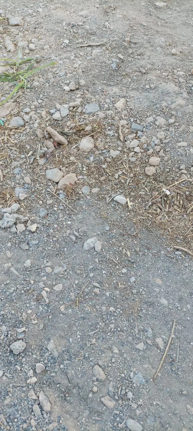 زمین مسکونی
