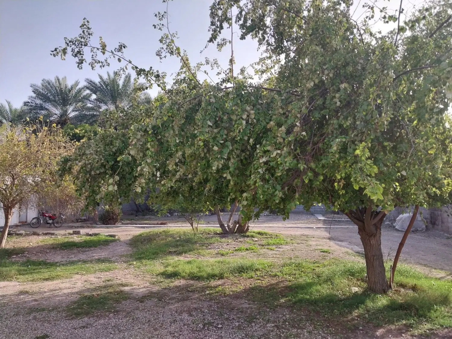 ویلا باغ سرخون