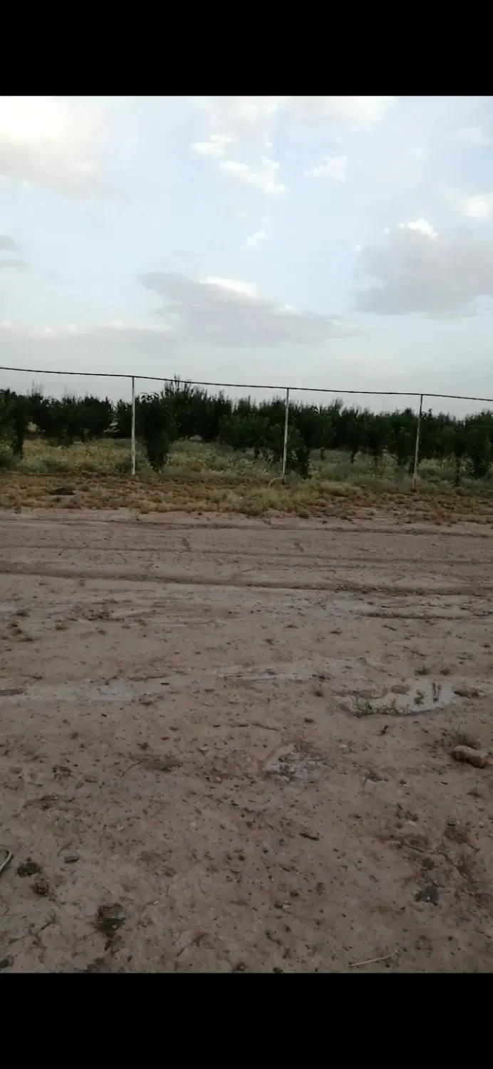 زمین در نیشابور
