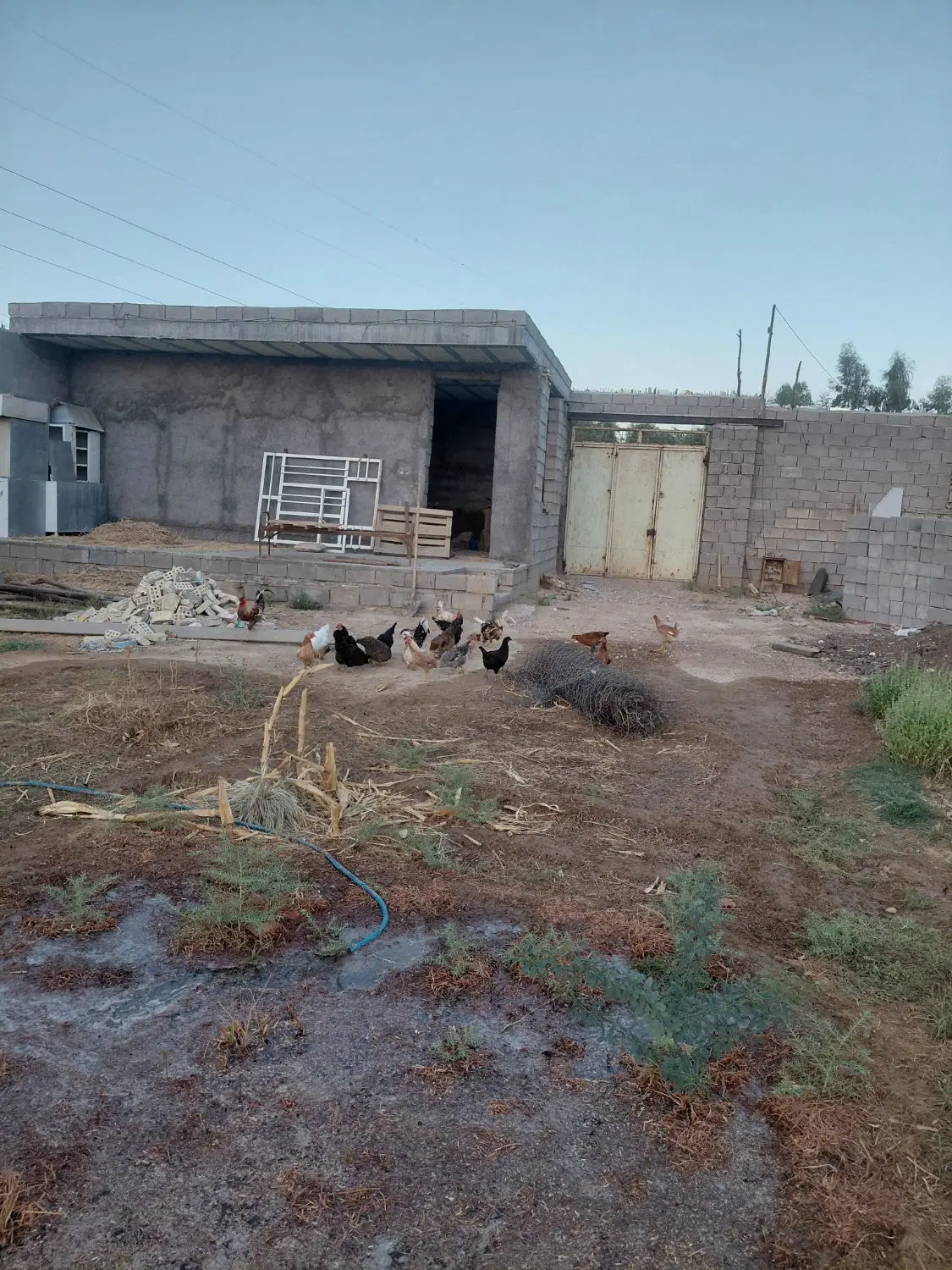 خونه باغ