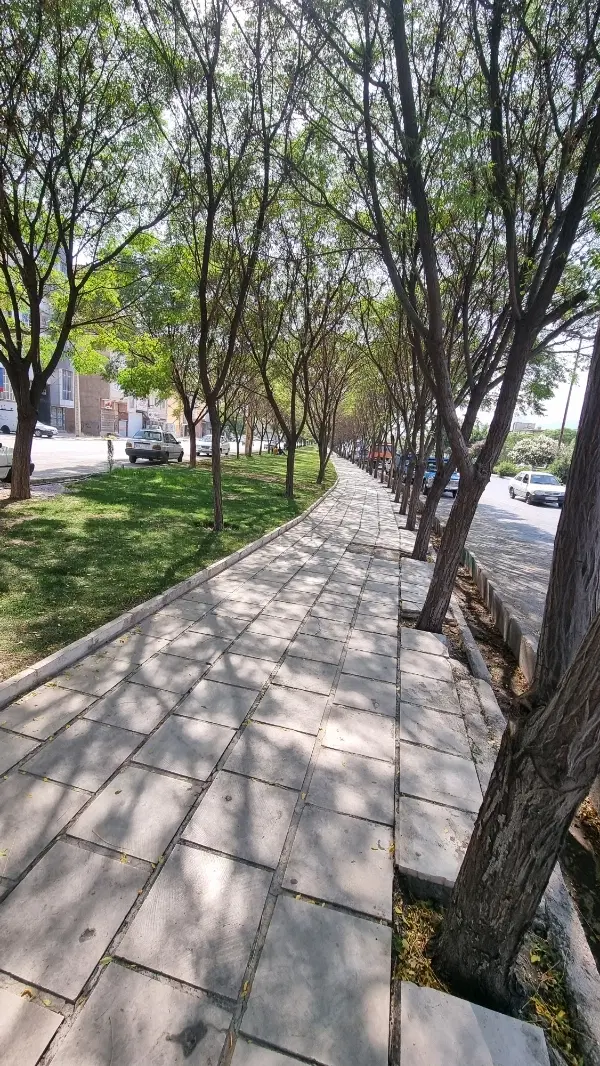 اجاره آپارتمان تک واحدی خیابان ارم