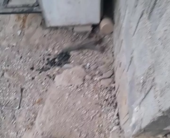 خانه برازجان