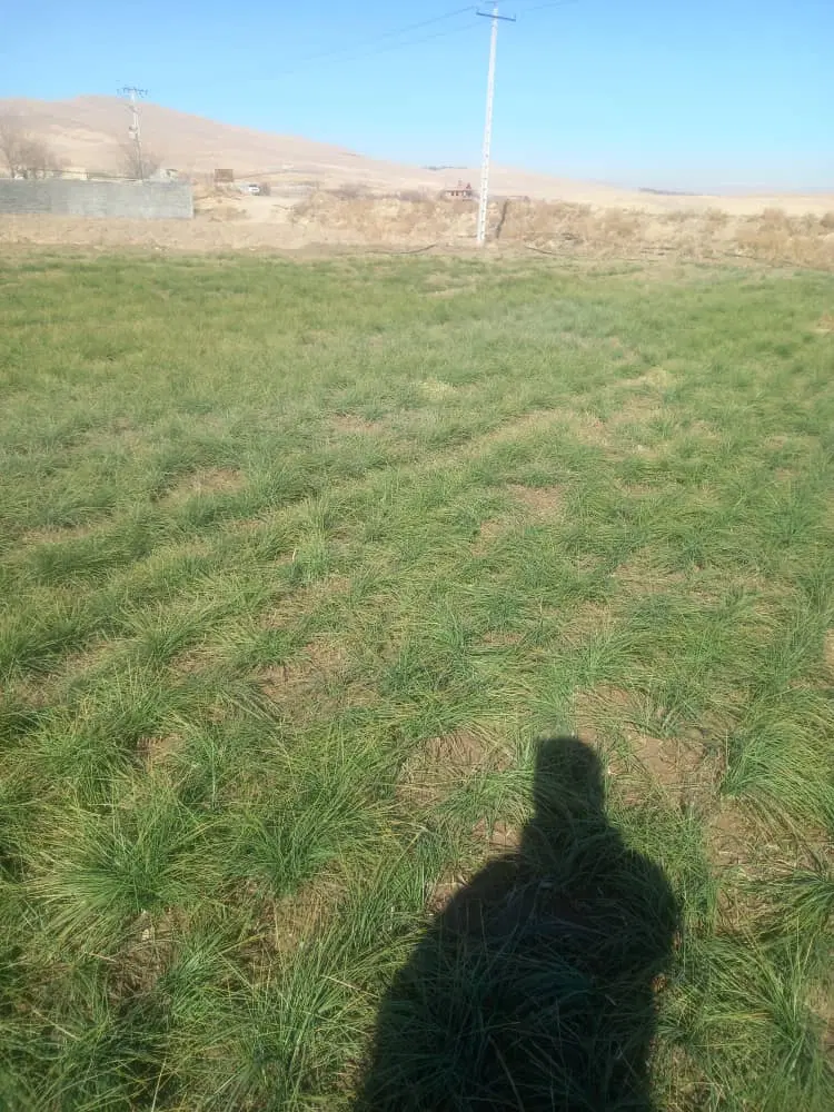 فروش زمین