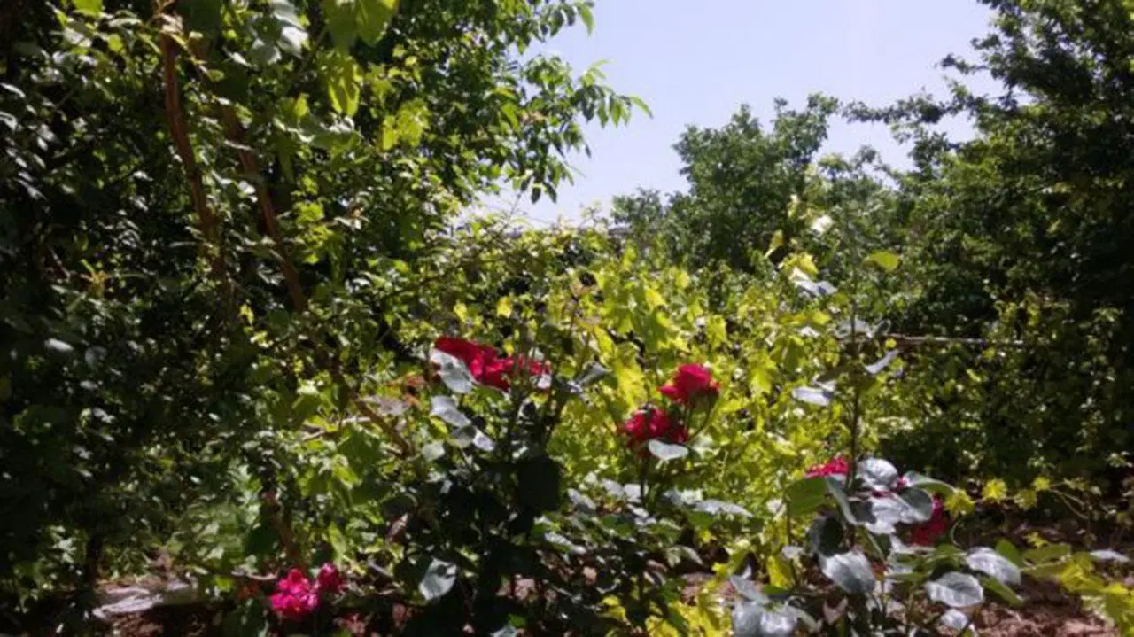 ملک ویلایی حیدریه ضیاباد ( اجاره - فروش )