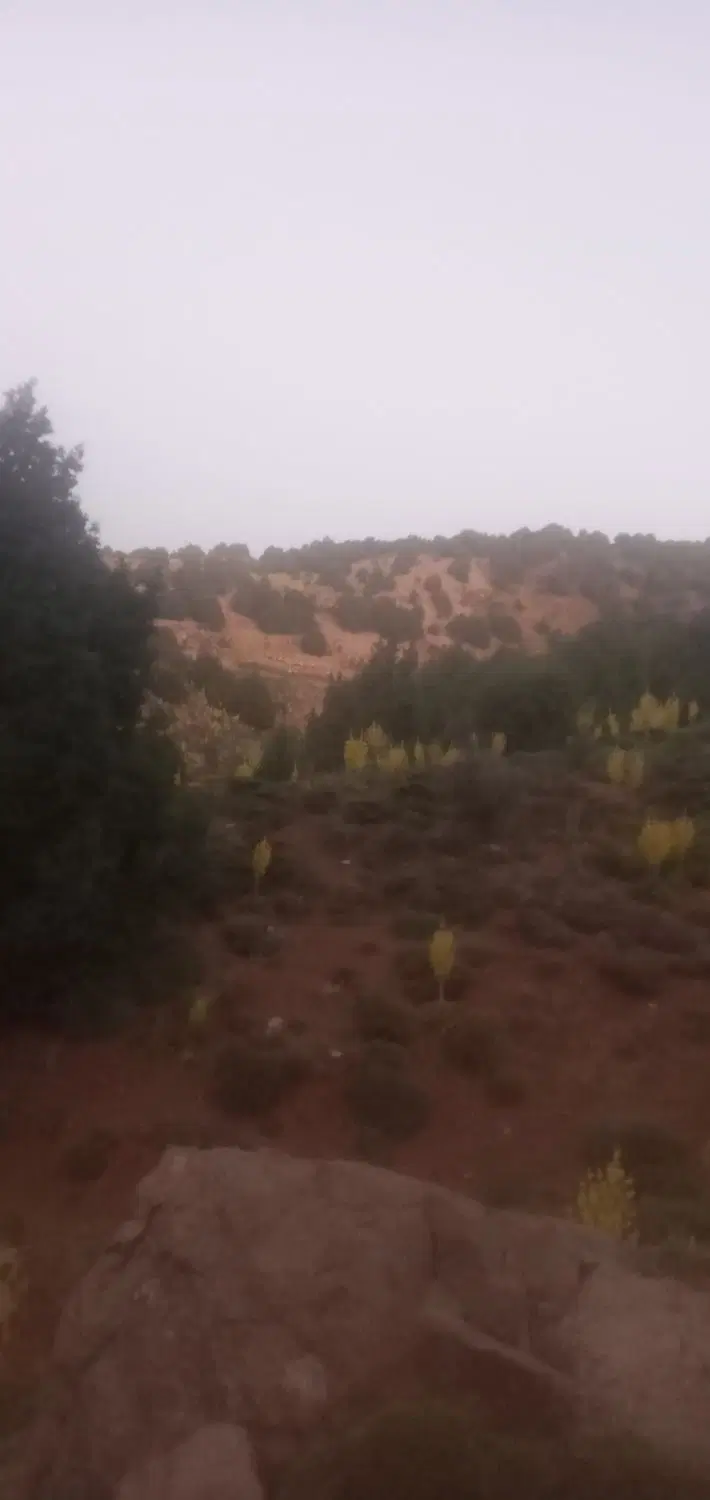 ملک