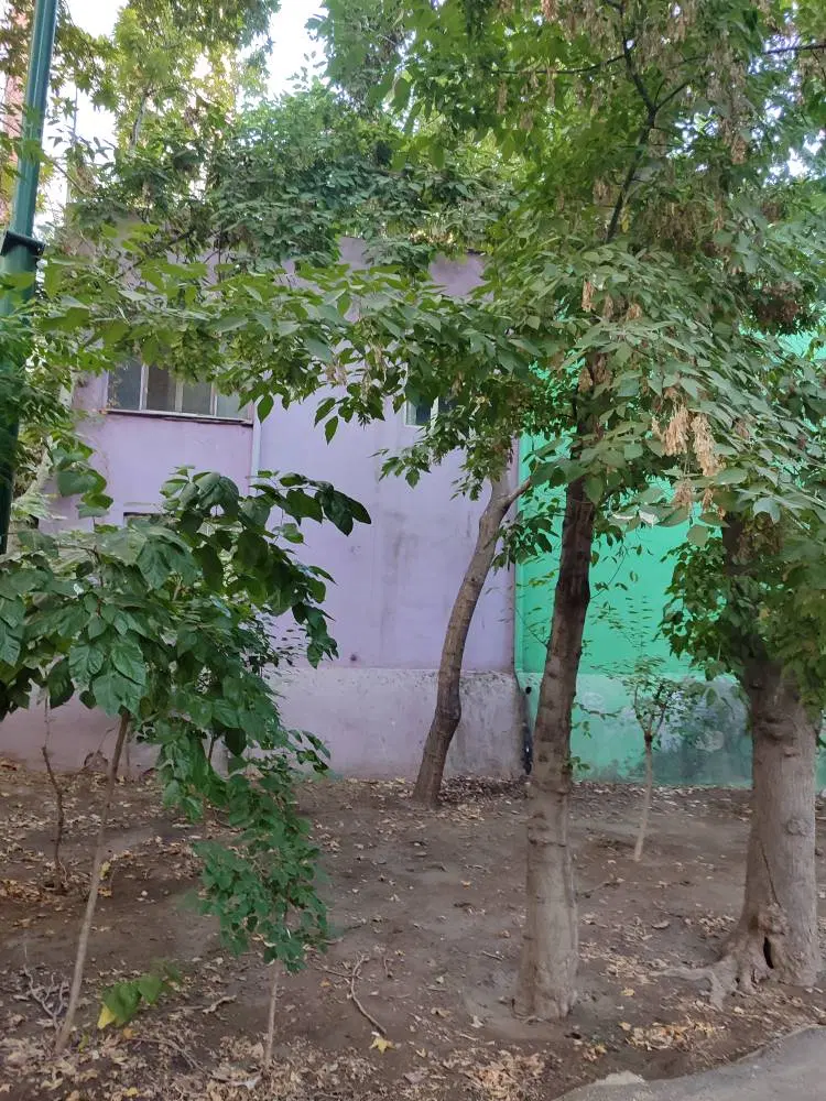 خانه کلنگی قابل سکونت و بازسازی در محدوده دروس