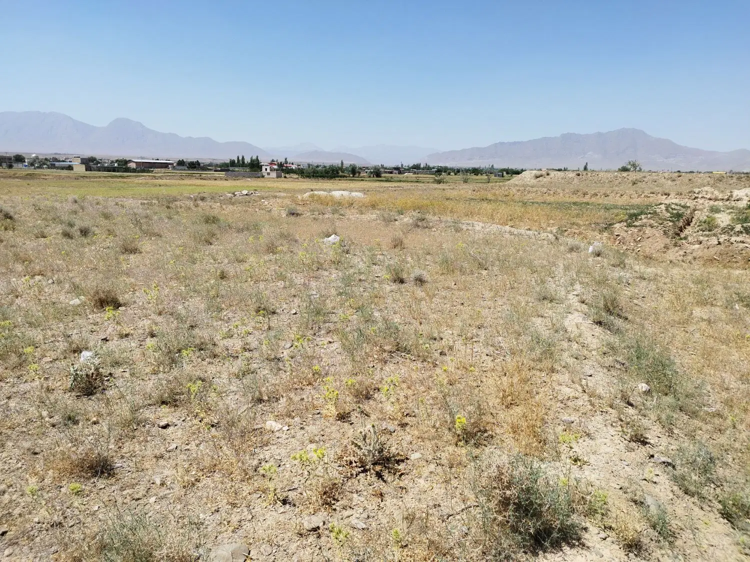زمین فروشی باغی