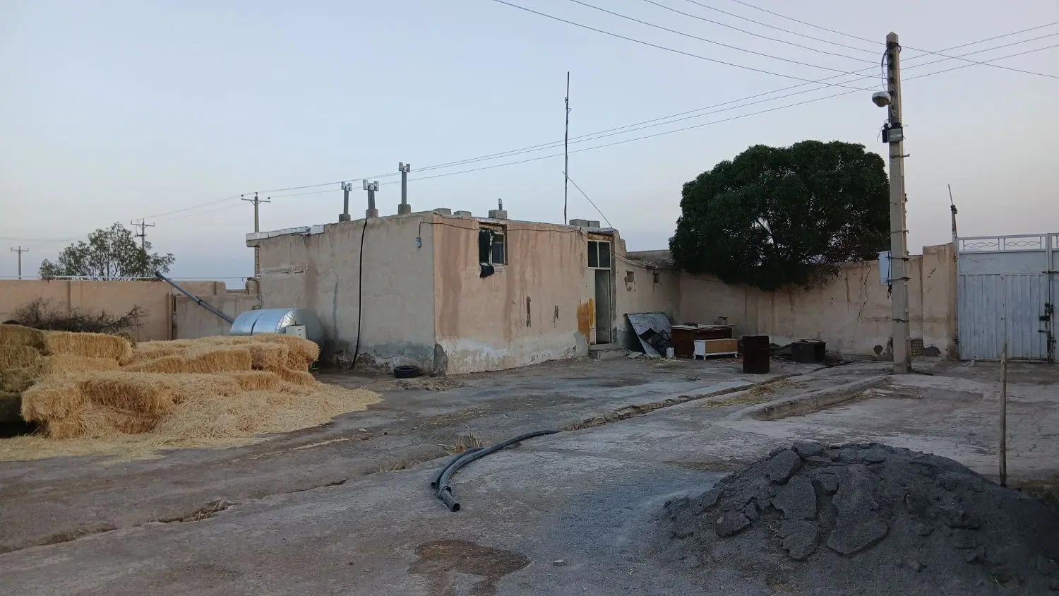 گاوداری جهت کرایه