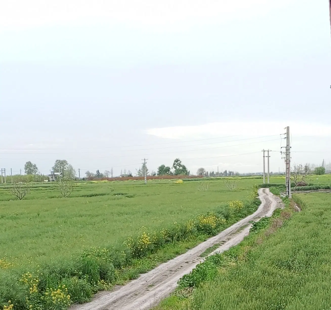 زمین کشاورزی صنعتی