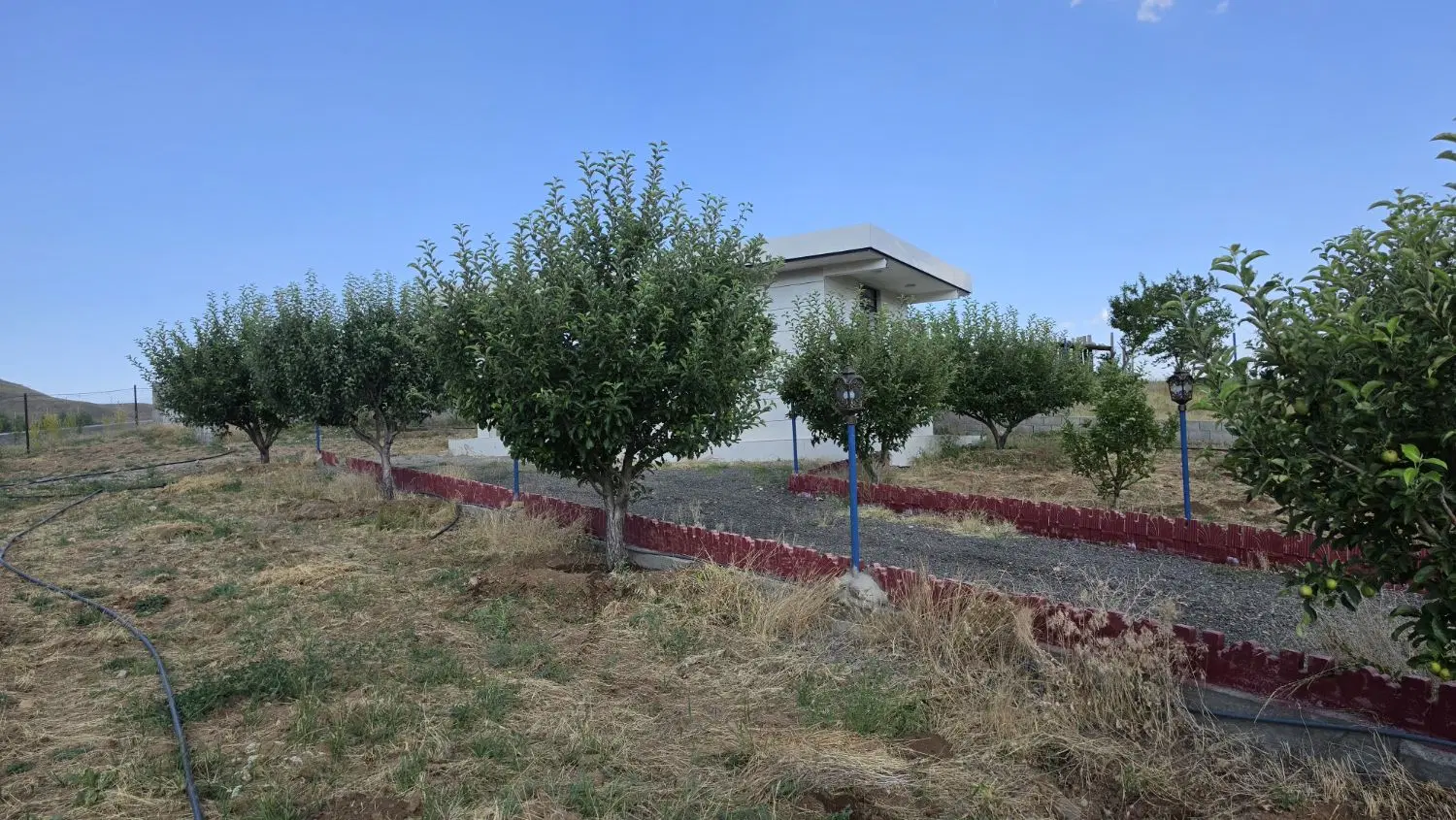 باغ در یام
