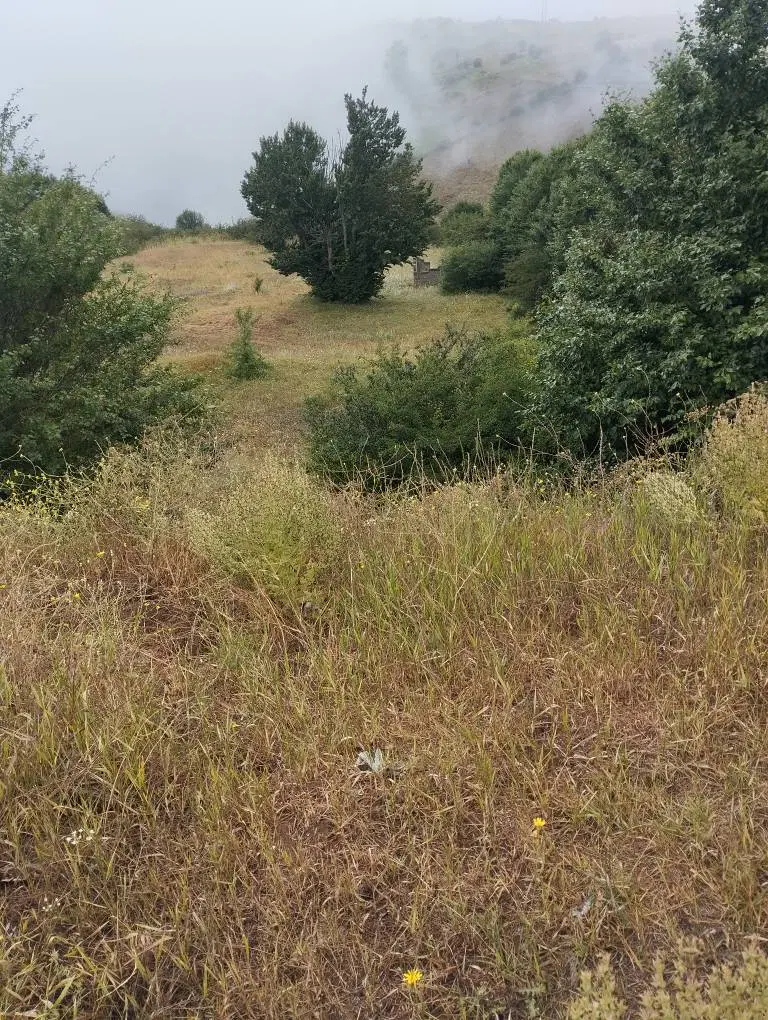 فرصت استثنایی سرمایه گذاری در گیلان