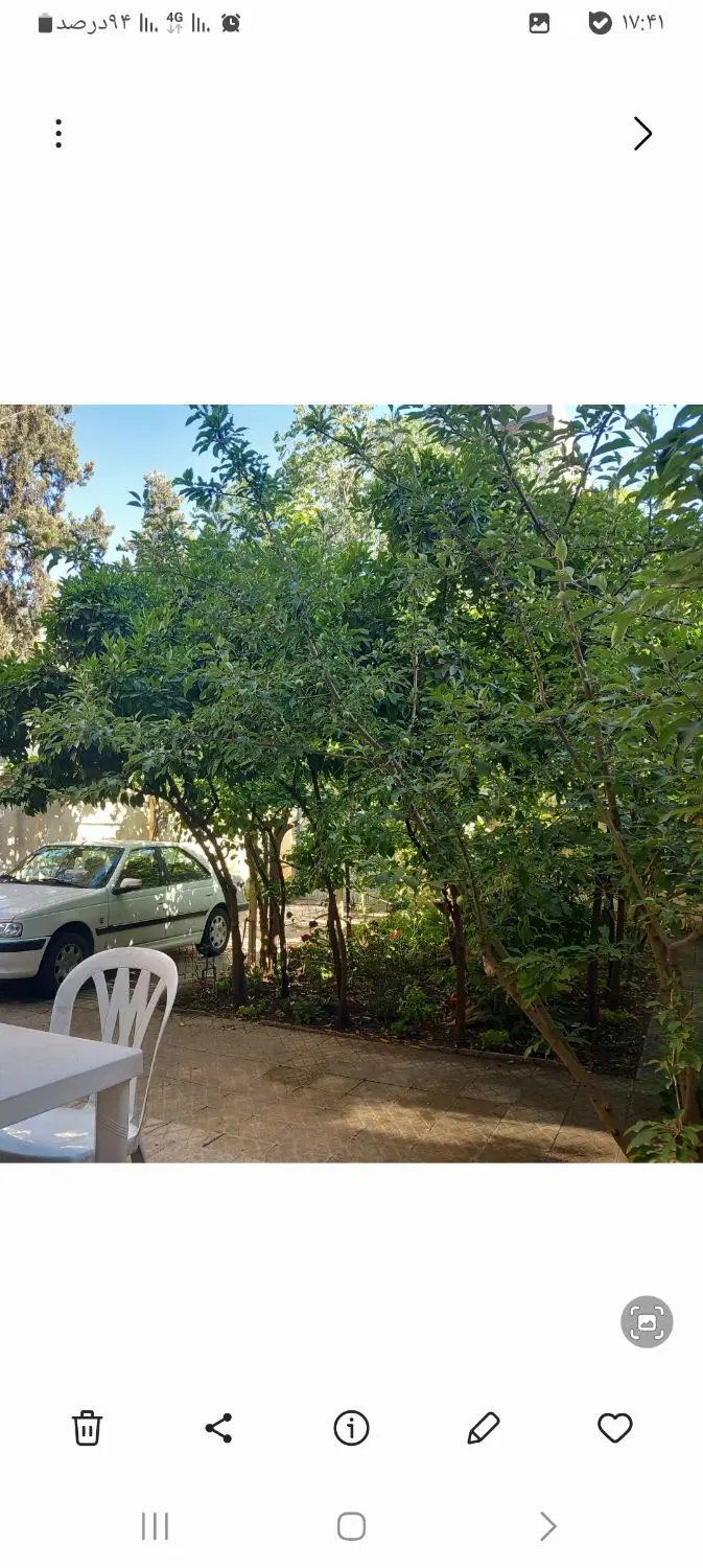 کلنگی ۲۶۳متر جمالزاده ازادی اسکندری کلهر