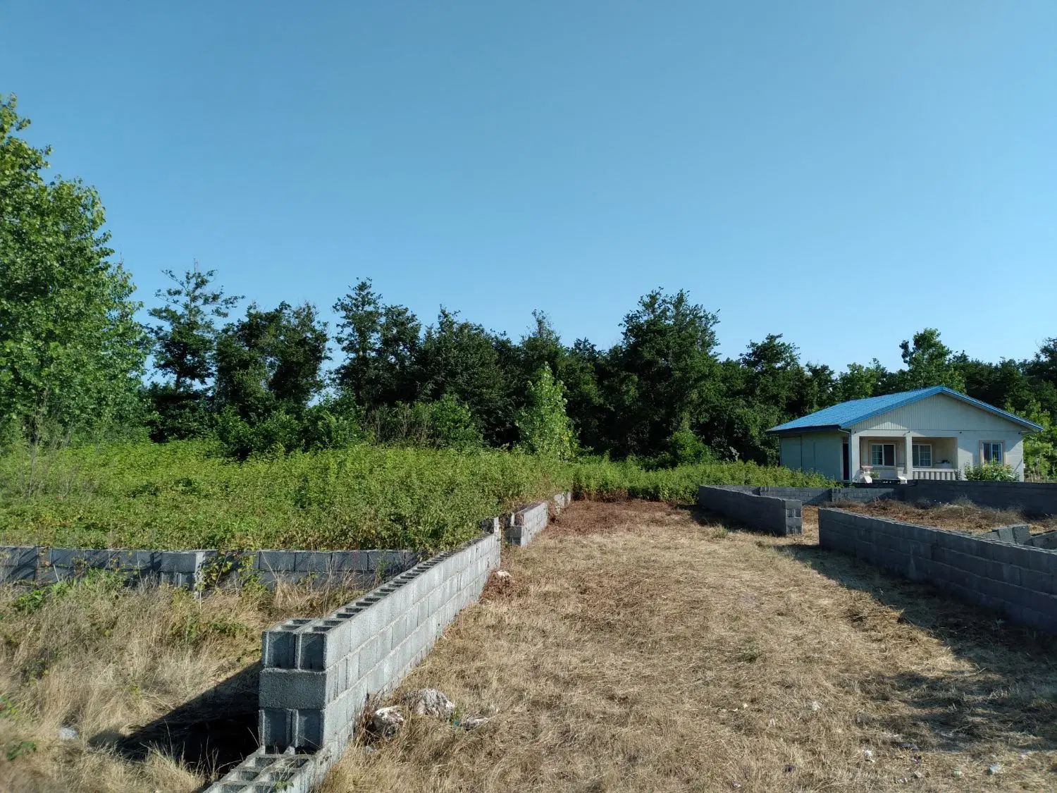 زمین ساحلی با پروانه ساخت زیباکنار . امیربکنده